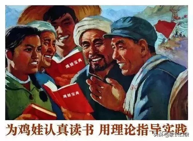 鸡娃日常规划假日,鸡娃计划表完整版