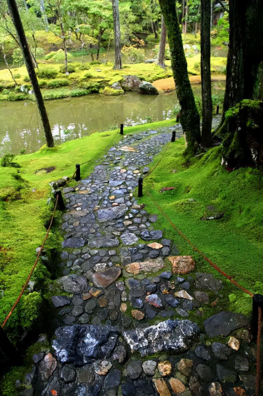 石板青苔的处理方法,青石青苔路滑怎么处理