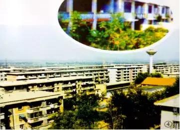 改革开放40年｜那一年，灞桥正在发生改变