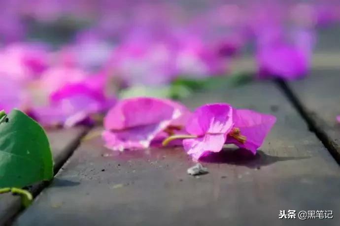 大事发生前有什么前兆,连续两把梳子断了什么征兆