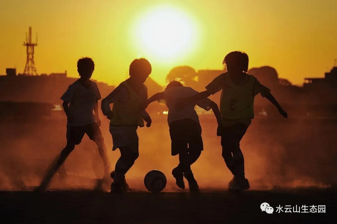 缇庝附涔℃潙鍏泭瓒崇悆,涔℃潙鍏泭瓒崇悆娲诲姩