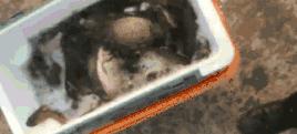 继光水库哪个位置好钓草鱼,继光水库野钓视频