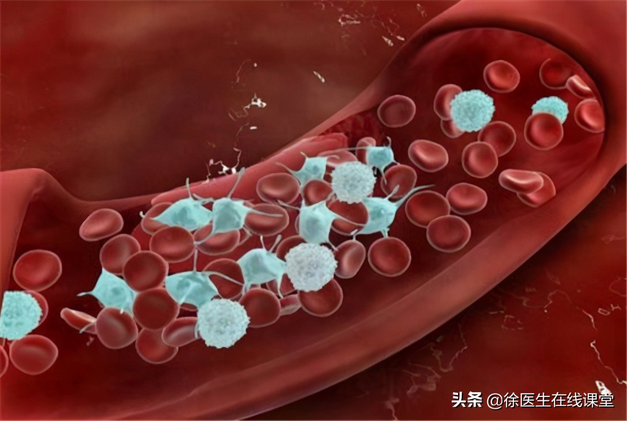 四种血型哪种血型最长寿,a型o型b型ab型哪种血型寿命最长