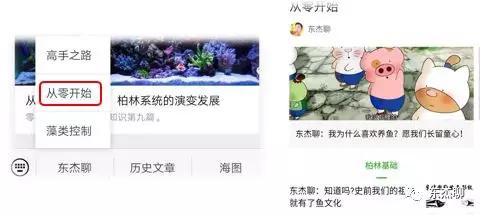 养珊瑚缸最佳过滤材料有几种,珊瑚海缸过滤