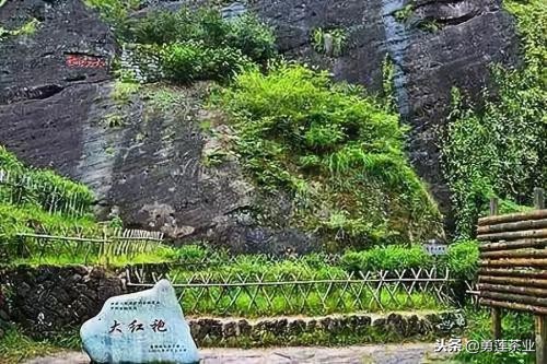 中国十大名茶产地及茶类介绍,中国十大产茶大省排行榜