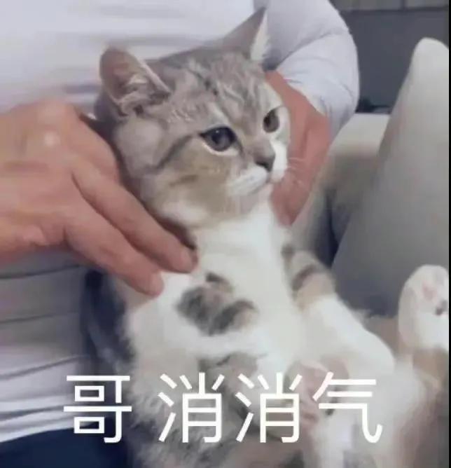 男生亲女朋友正常吗,男生大街上亲女朋友