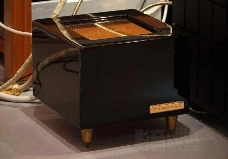 这只“火鸟”是白色的，CessaroFirebird扬声器