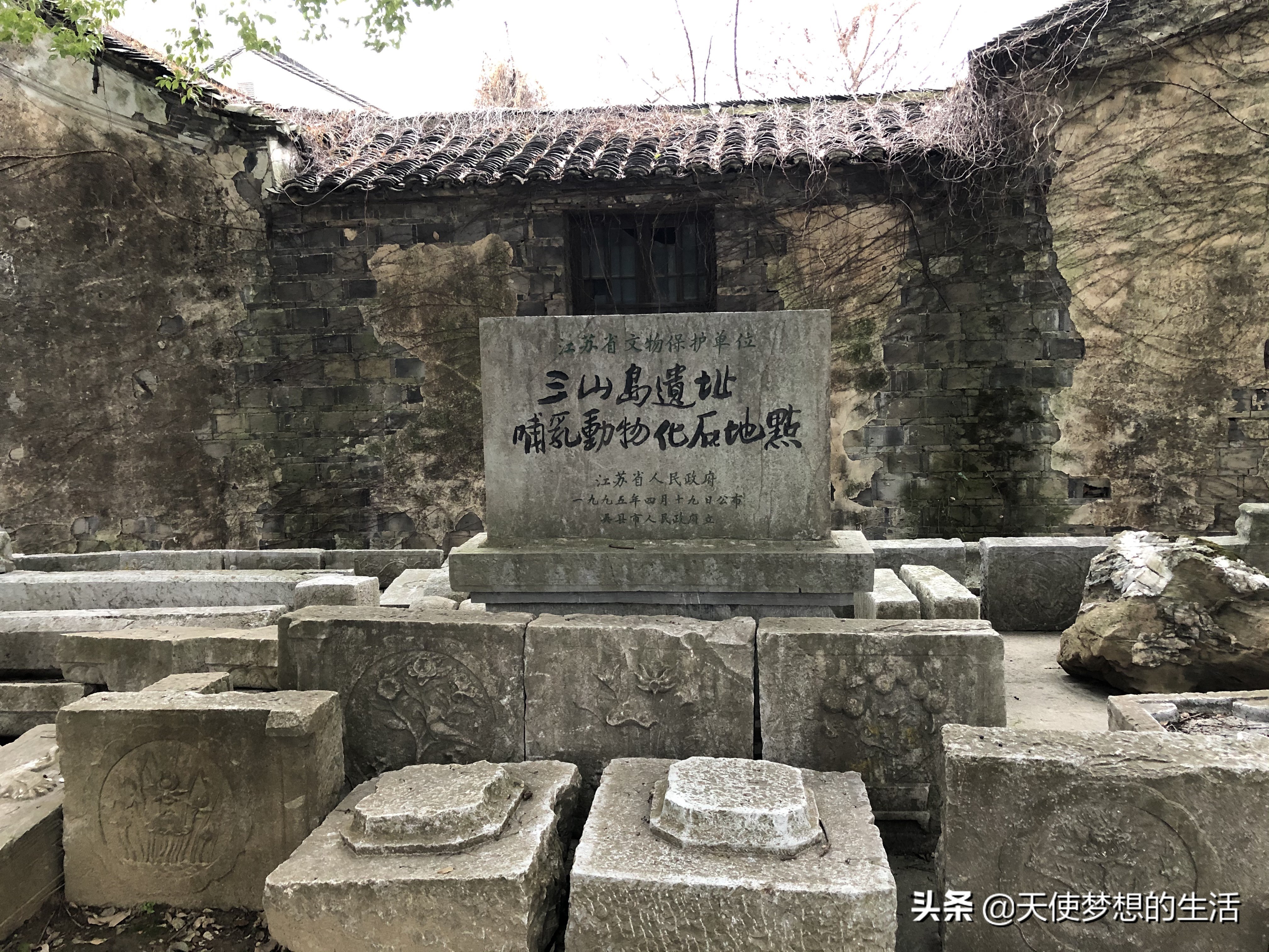苏州太湖三山岛景区,苏州太湖的三山岛有风景吗