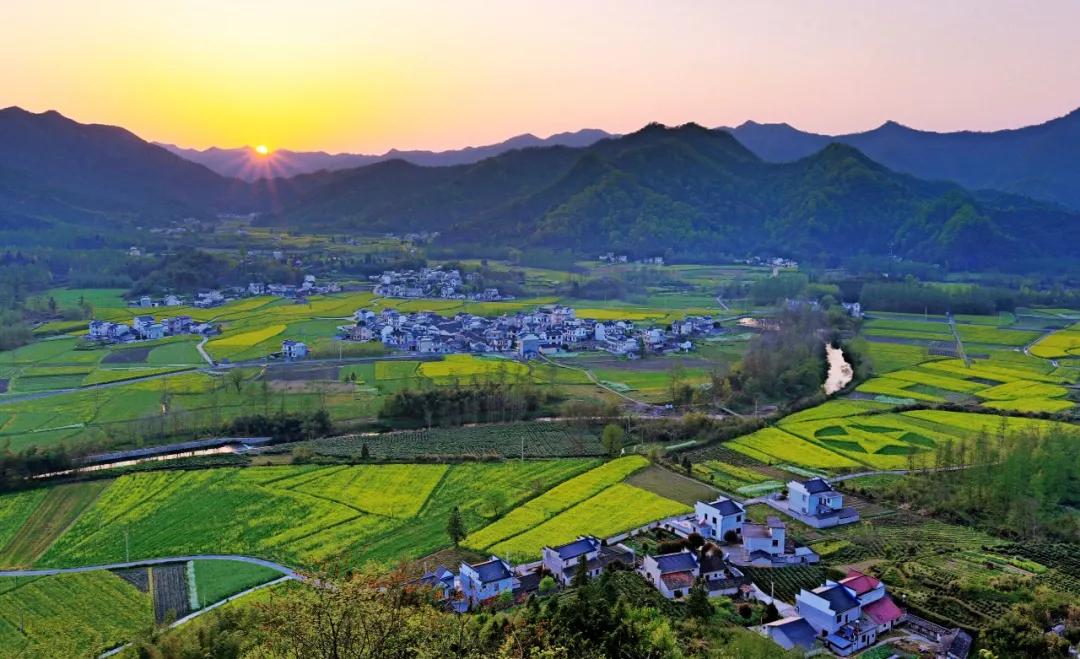 油菜花风景点,罗平县小油菜花