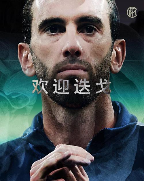 苏宁集团哪一年入主国际米兰,国际米兰新赛季阵容