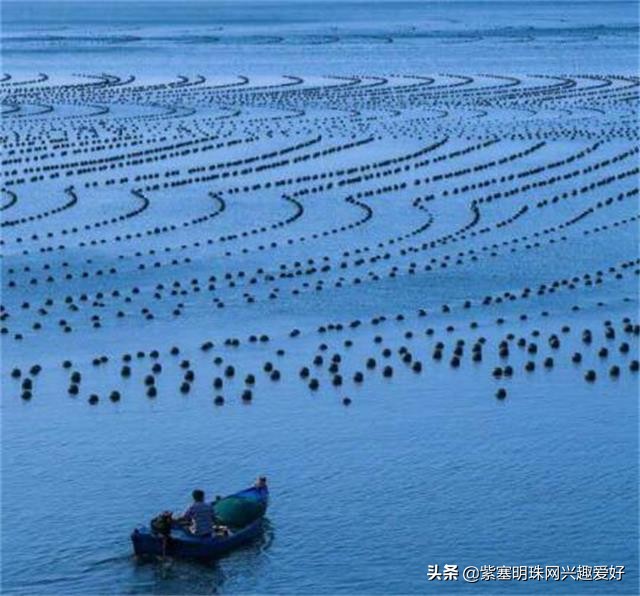 日照旭日家园渔家乐是在吴家台吗,日照吴家台旭日家园渔家乐