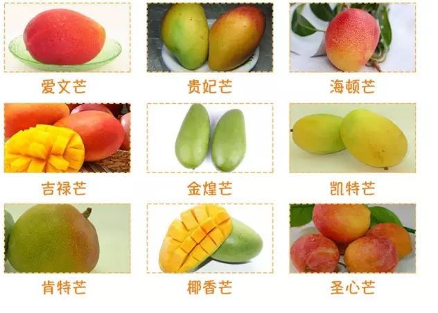 夏季最适宜吃的水果排名,夏季你一定要多吃这几个水果