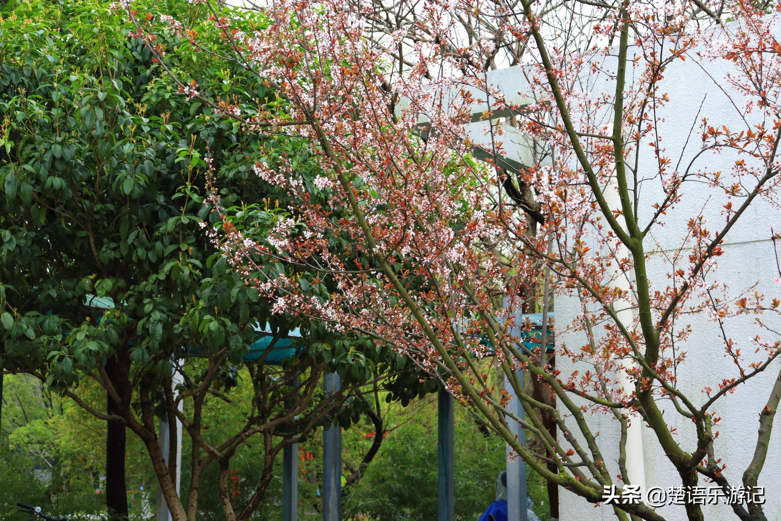 宁波免费的公园有哪些,宁波值得去的公园排行榜