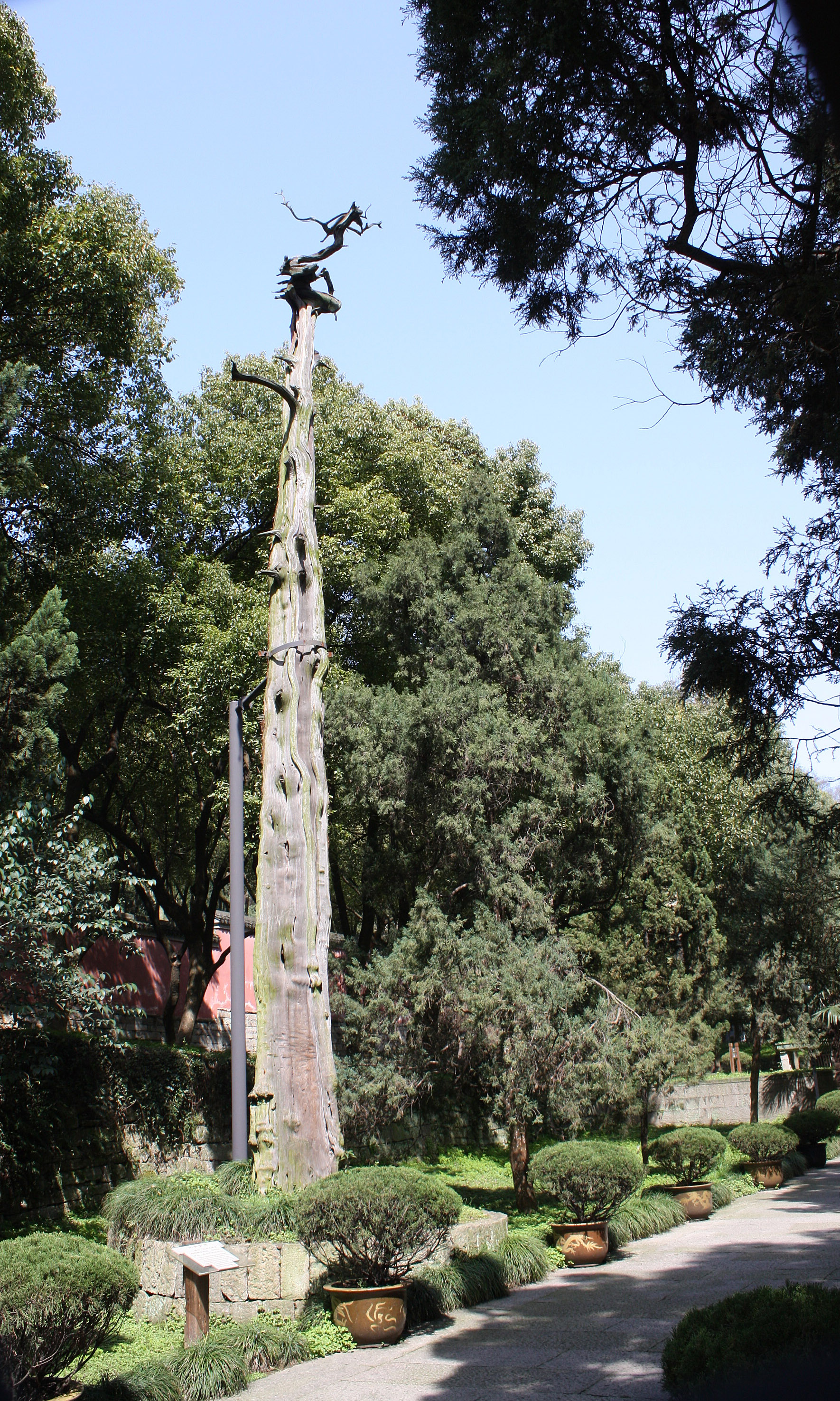 绍兴等南方城市完成“逆袭”，靖康之变是灾难，但对南方也是机会