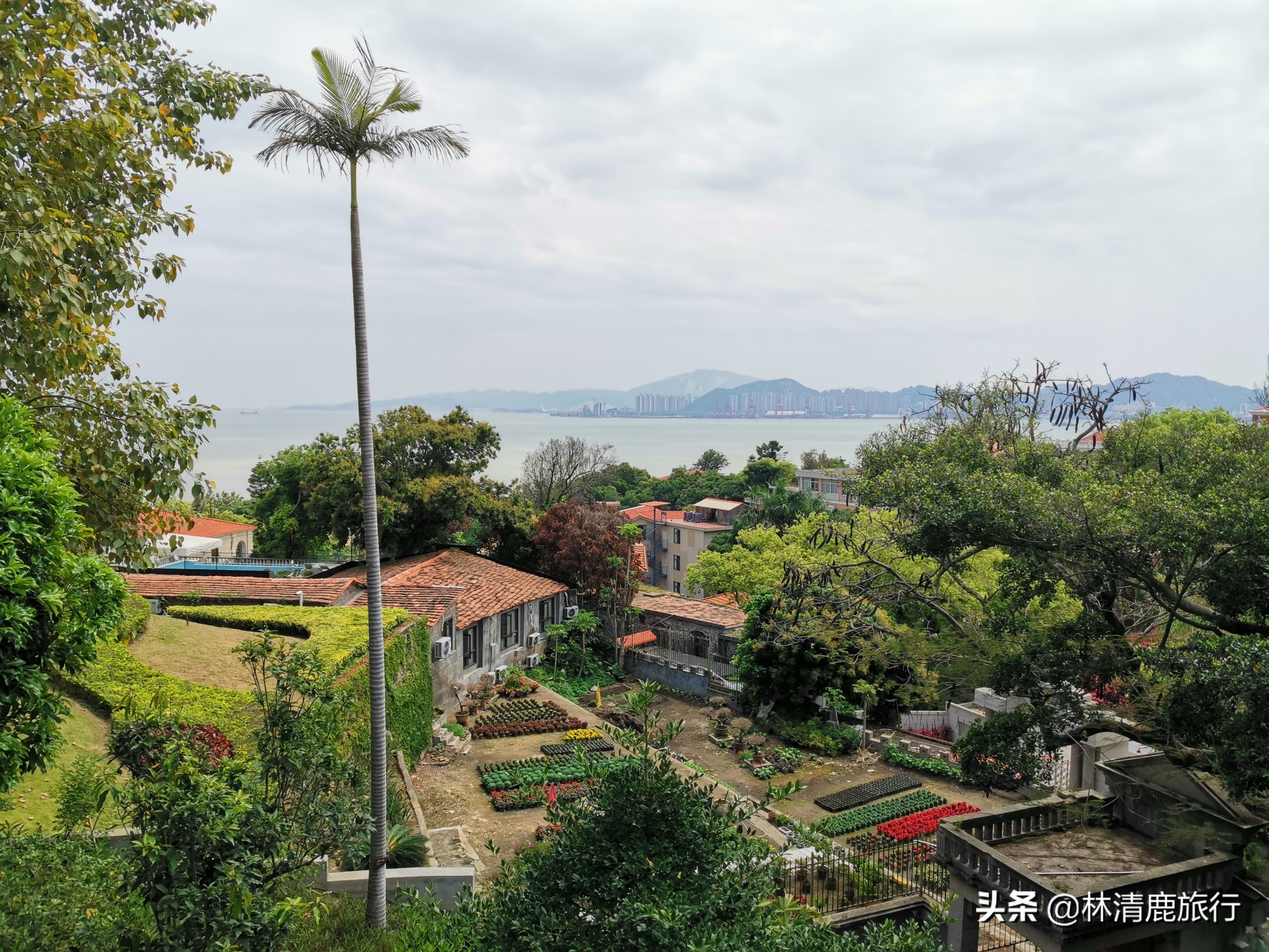 鼓浪屿最值得去的一个地方,为什么鼓浪屿那么有名气