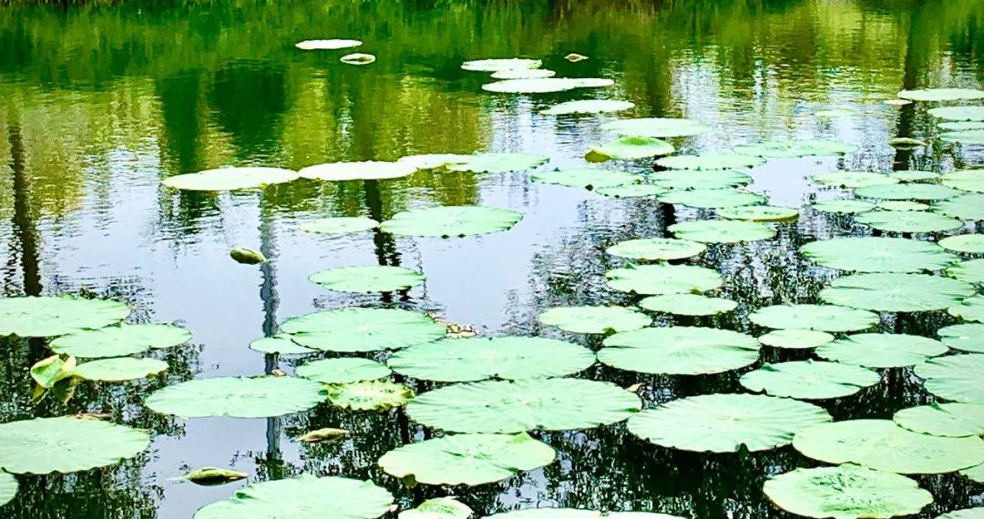 践行使命担当谱写青春华章,践行嘱托争出彩