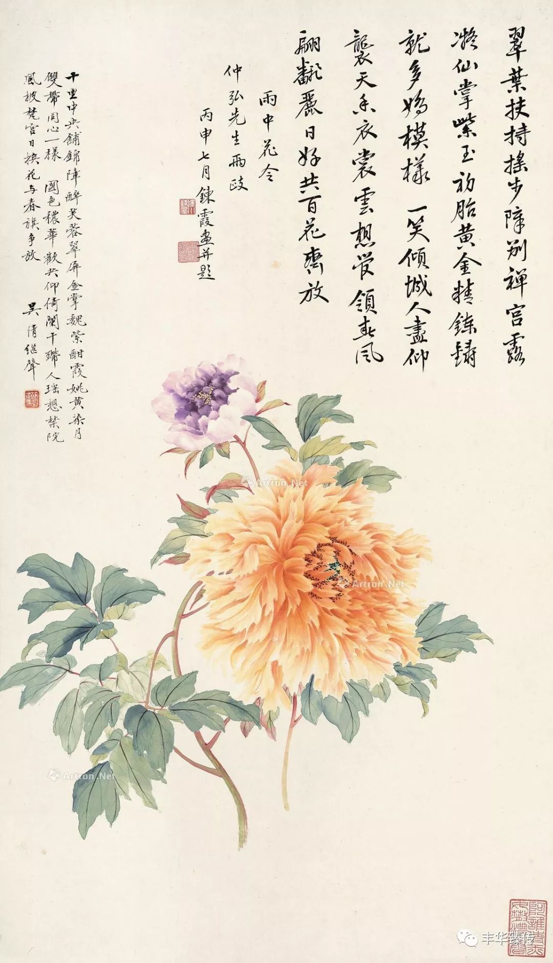 百代标程飞侠影，八方嘉宾会天南！帽哥出品