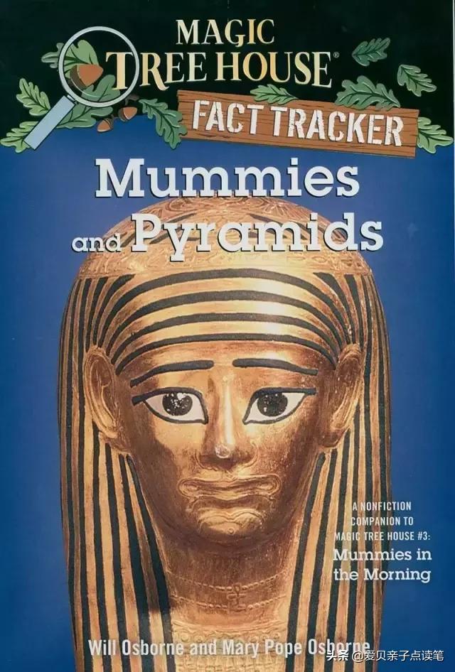 神奇树屋基础和进阶故事一样吗,神奇树屋小百科