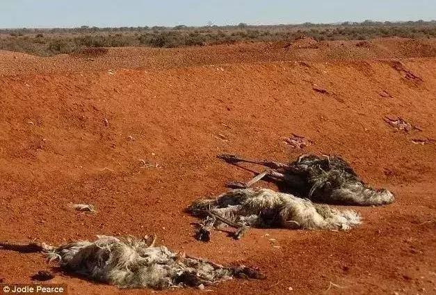 2019年地球进入小冰期,地球是大灾大难还是地球末日