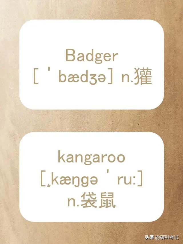 动物的英文拼写及音标,关于动物的单词及音标