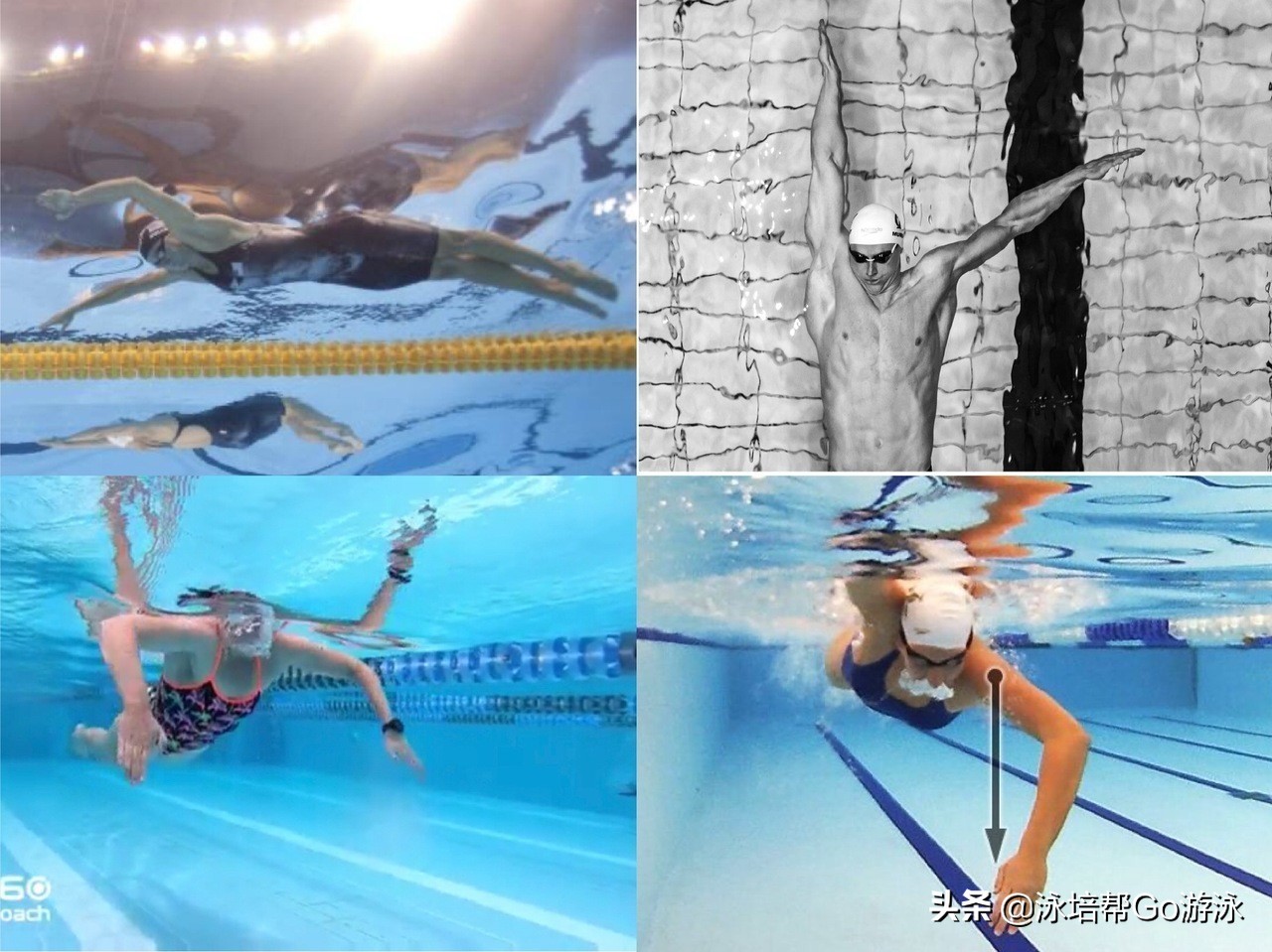 游泳基础自学,游泳自学入门篇