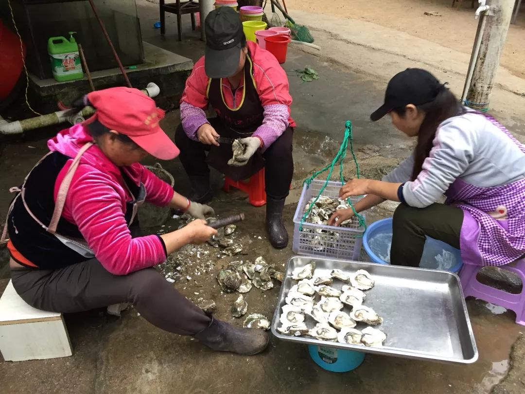 告别2019，迎来2020，在三娘湾与白海豚一起跨年