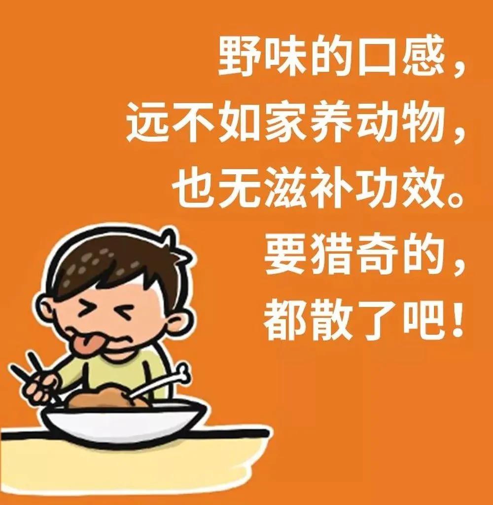 钦州动物园有何野生动物,哪些动物属于野味