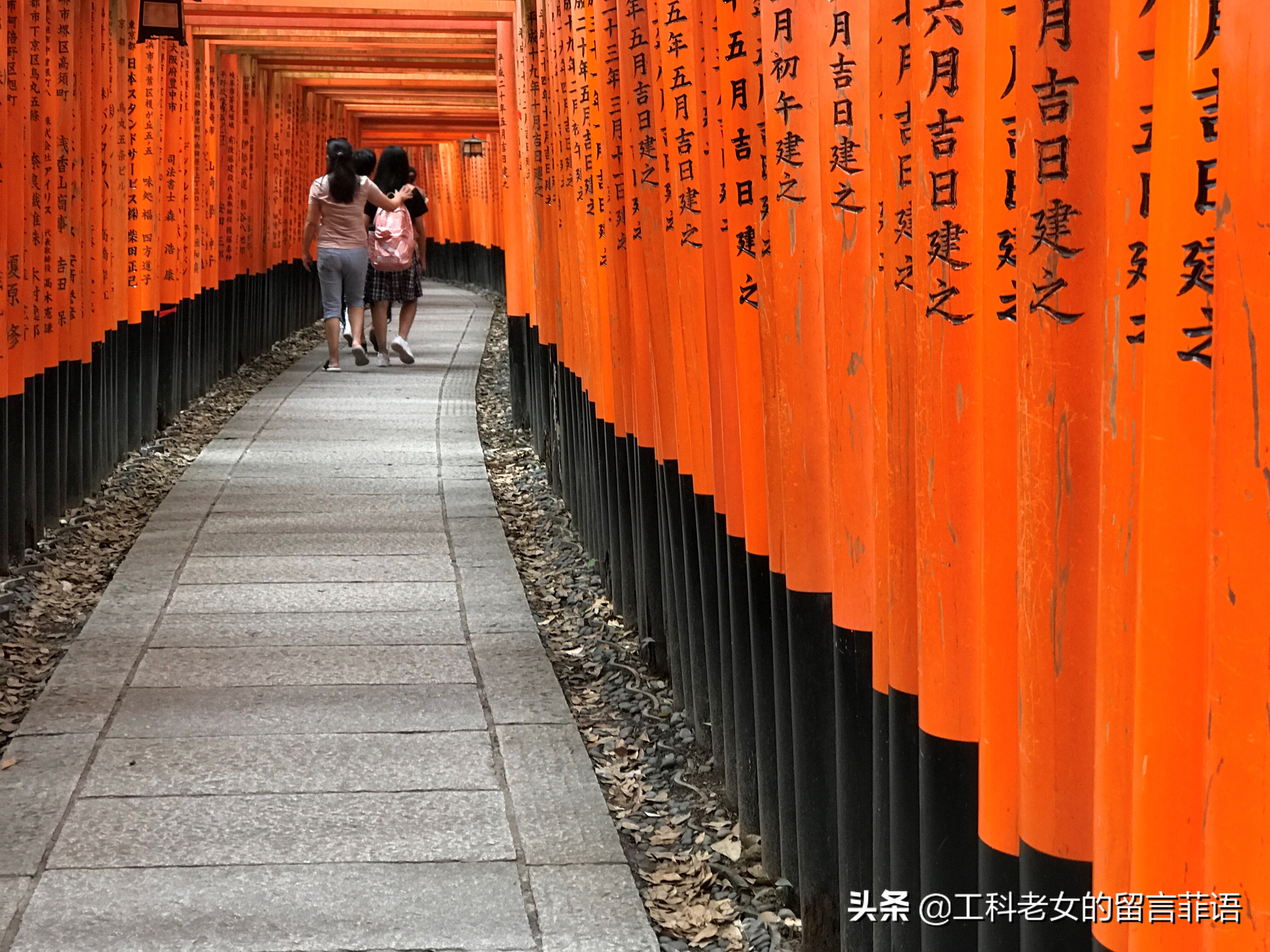 夏天去京都关注哪些事项,盛夏去哪玩