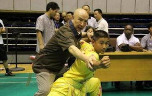 螳螂拳大师于海一路走好,武术大师于海螳螂拳