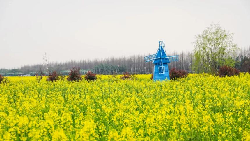 五月份上海有什么新消息,上海4月份有哪些消息