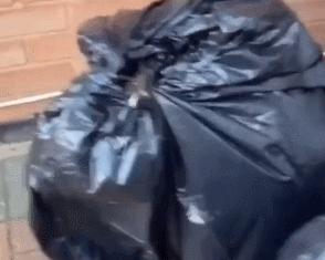 全球各地放松疫情限制,全球各国最新防疫政策