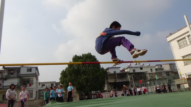 娲嬫箹涓績灏忓绗笁灞婄敯寰勮繍鍔ㄤ細,娲嬫箹涓績灏忓绗笁鍦虹敯寰勮繍鍔ㄤ細