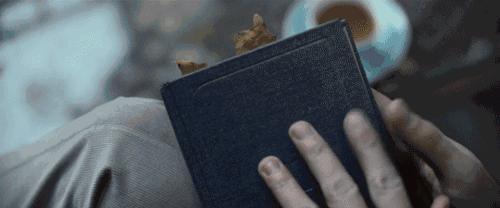 乌鸦喝水的第二种方法，看出人生聪颖的捷径