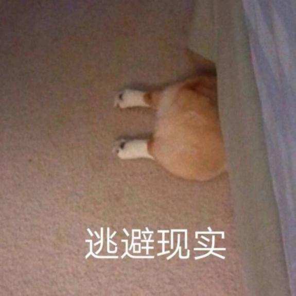 90后和00后的代沟合集,60后70后80后90后00后代沟填词