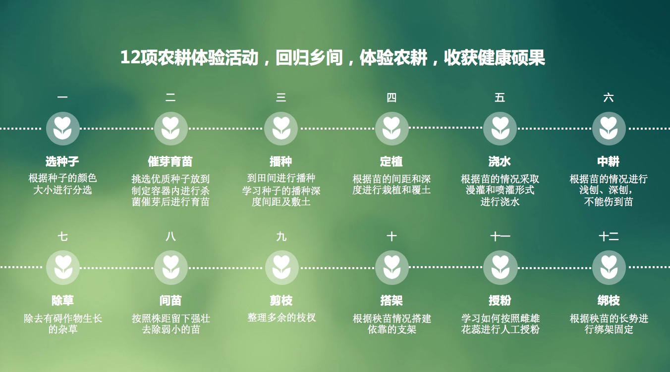 幼儿园自然农耕教育基地,幼儿园菜园建设
