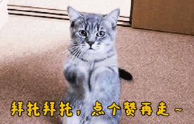 rng小虎喊麦,rng小虎初登赛场