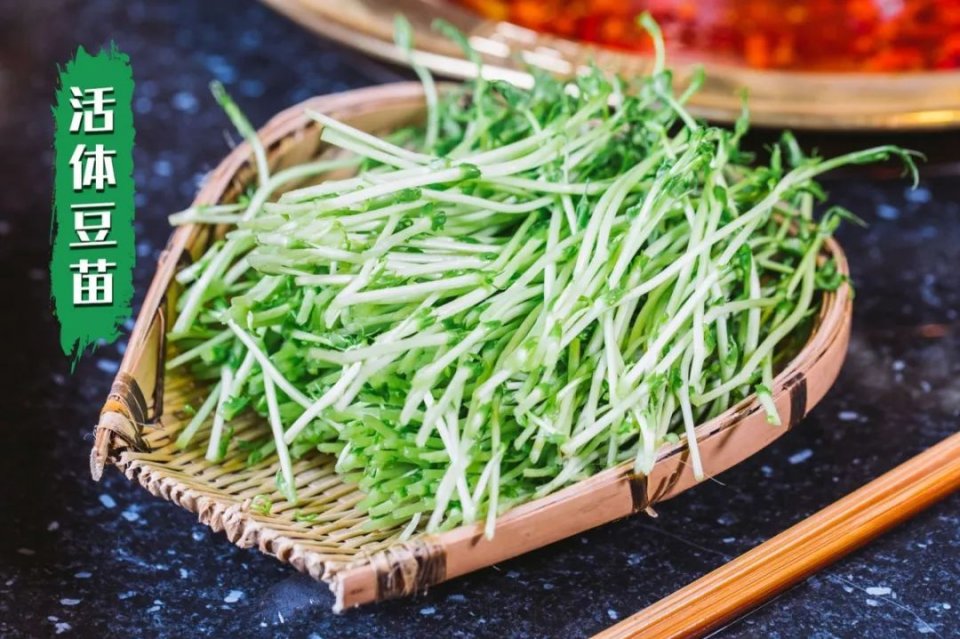 把菜园搬到餐厅,把菜园搬到家门口