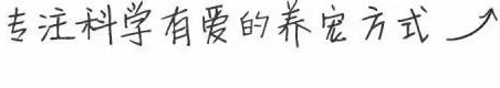 猫咪生气时的叫声,猫咪生气的吼叫声