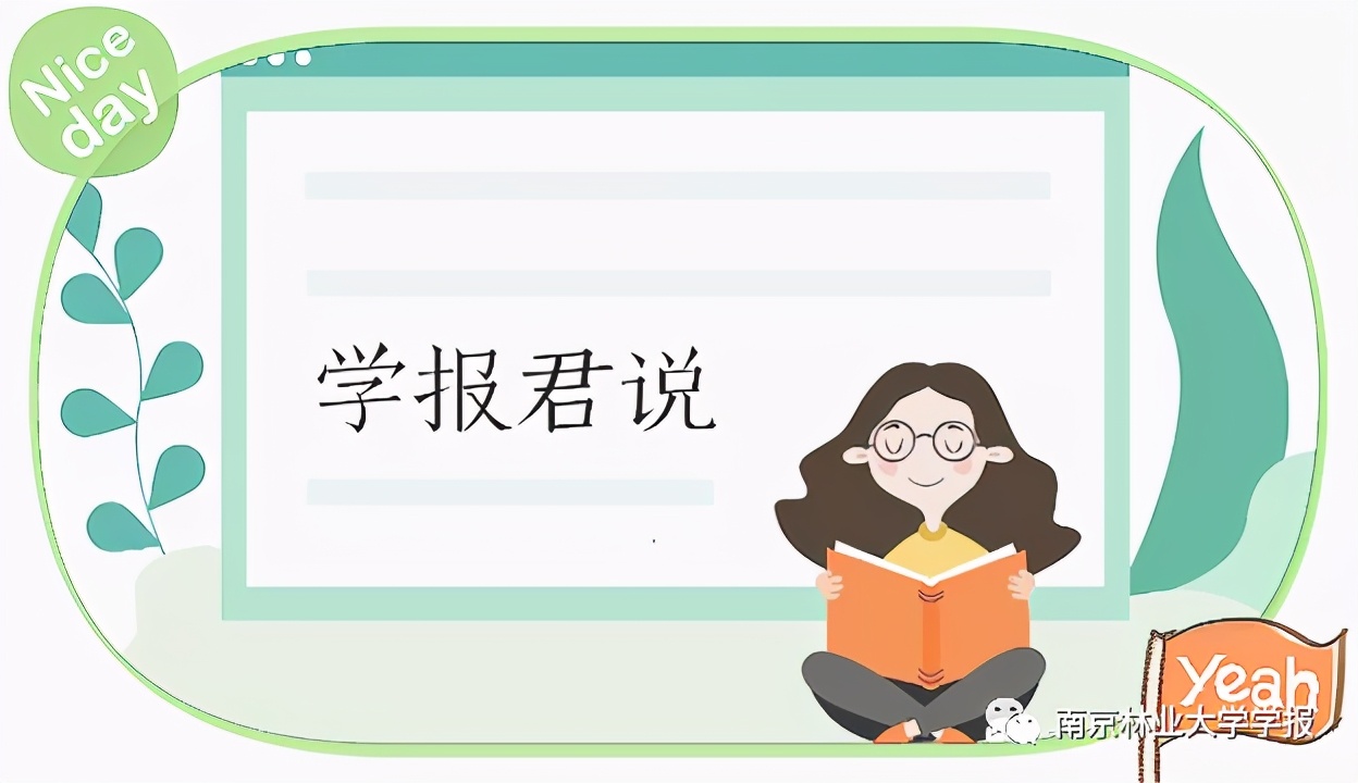 无患子果实视频,无患子成熟图