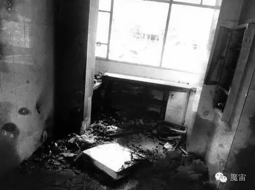 平均每年新增10万个植物人，靠这个发财的就她老公一个｜夜行实录