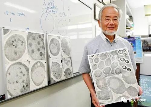 日本癌症十年生存率统计表,日本癌症患者的10年生存率