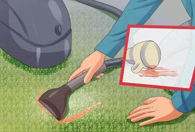 如何清洗地毯的方法,清洗小地毯最简单的方法