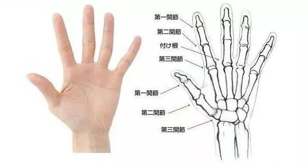 手的正确画法怎么画,手怎么画最简单的画法