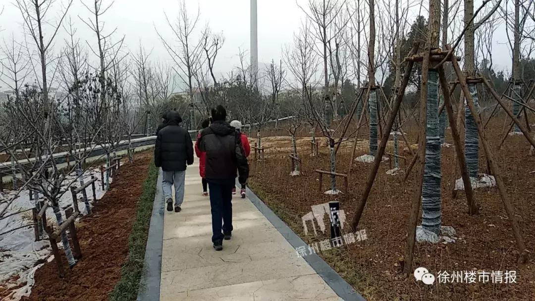 徐州森林公园,徐州森林公园开放时间最新