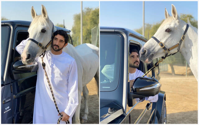 迪拜王子亲吻梅花鹿,迪拜王子接亲后续现场