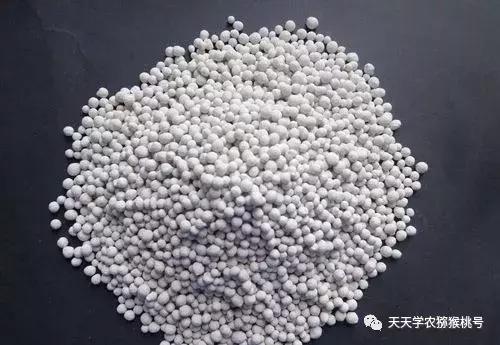 猕猴桃叶片日灼后怎么办,猕猴桃花萎蔫是什么原因