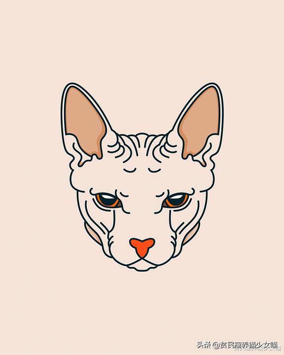 无毛猫到底是不是骗人的,无毛猫过敏了什么样