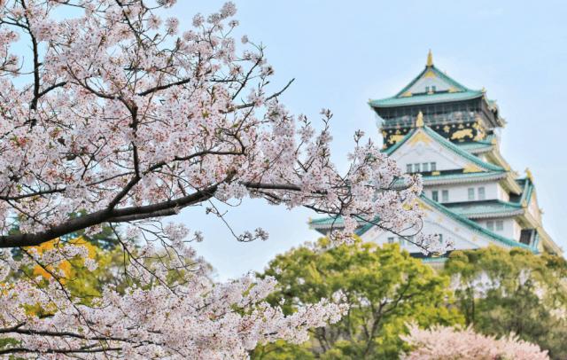 ps神仙笔刷,ps水彩插件