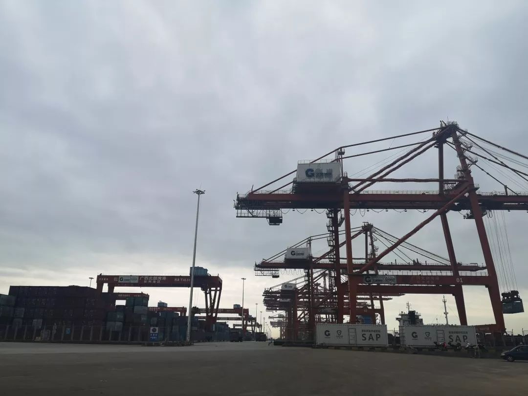 钦州三娘湾寻找白海豚,钦州三娘湾中华白海豚咬不咬人