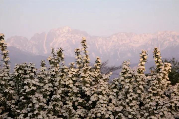 新文旅融合时代，景区怎么讲出好故事？